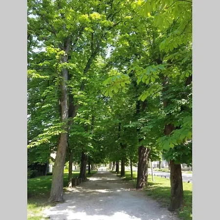 דירה Welcome To Enjoy ! *