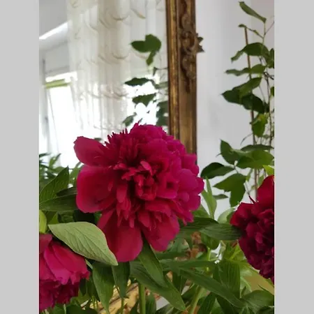 Apartment Welcome To Enjoy !