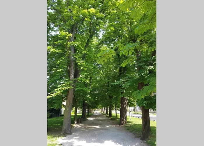 Apartment Welcome To Enjoy ! *