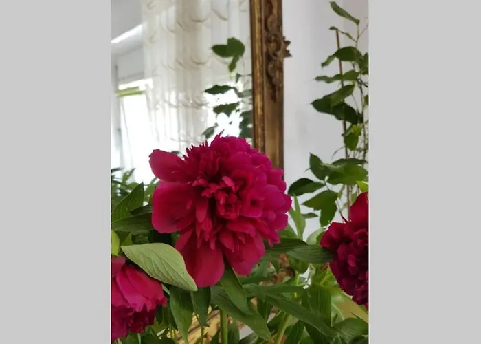 Apartment Welcome To Enjoy !